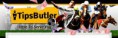 Tips Butler